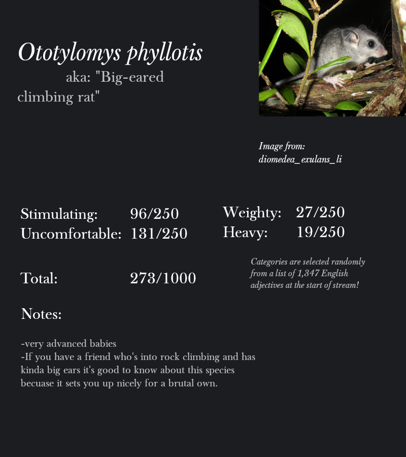 Ototylomys phyllotis